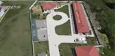 Saçmayla yaralanan kara akbaba tedavi edildi