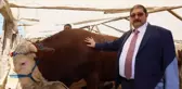 KURBAN PAZARLARI, ULAŞIM GİDERİNE YENİK DÜŞTÜ