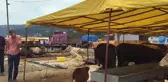 Trabzon'a Kurbanlık Satmak İçin Gelen Elazığlı Besici: 
