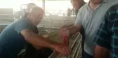 Ardanuçlu Besici: 