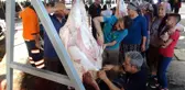 Gaziantep'te vatandaşların kurban kesim telaşı başladı