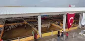 Gölbaşı Kurban Satış ve Kesim Tesisi'nde Bayram Heyecanı