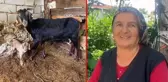 Kurbanlık aldıkları keçi doğum yapınca kesmekten vazgeçti