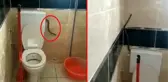 Yüzünü yıkamak istedi, banyosunda yılanla karşılaştı