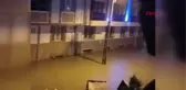 ESENYURT'TA KORKU DOLU ANLARI ANLATTI: ÇOCUKLARIMIN CANINI ZOR KURTARDIM