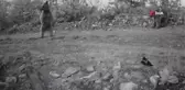 Oyuncu yavru ayıların fotokapana yakalanan görüntüleri gülümsetti
