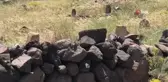 Iğdır'da öğle saatlerinde güneşlenen Kafkas keleri görüntülendi