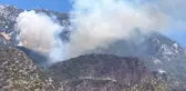 Datça'da orman yangını (5)