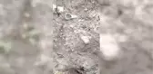 Yağmur suyunun aşındırdığı topraktan iskelet çıktı
