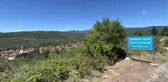 Ayı saldırısına uğrayan çoban yaralandı