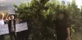 Tokatlı Meyve Üreticileri Fabrikanın Belirlediği Taban Fiyatı Protesto Etti: 