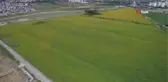İstanbul'daki ayçiçeği tarlalarının mest eden görüntüleri