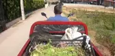 Organik tarımı 