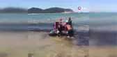 Tekirdağ'da kaybolan Şehmus Ele 8 gün sonra ormanda sağ bulundu