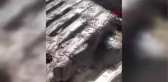 İSTANBUL'DA 4 İLÇEDE ÇAYIR TIRTILI ALARMI