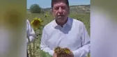 Yaşar Tüzün, Dolu Yağışının Vurduğu Ayçiçeği Tarlalarından Seslendi: 