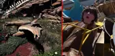 Enkaza dönen Ankapark'la ilgili iktidar kanadından ilk açıklama! Topu CHP'ye attılar