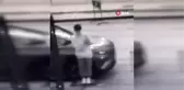 Kavaklıdere'de köpek hırsızlığı kamerada