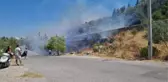 BODRUM'DA 1 DÖNÜM OTLUK YANDI