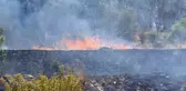 Son dakika haberleri... Bodrum'da binaların arasındaki çalılık alanda çıkan yangın söndürüldü