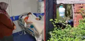 Bolu'da içme suyundan kaynaklanan zehirlenme vakalarında sayı 141'e yükseldi