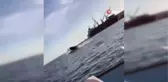 ABD'de kambur balina tekneye çarptı