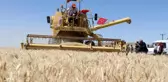 Aksaray'da halis ekmeklik buğdayın deneme ekiminin hasadı yapıldı