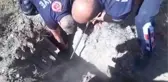Son dakika haberleri... Erzincan'da mahsur kalan köpekler, itfaiye ekiplerince kurtarıldı