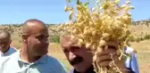 Tunceli Belediye Başkanı Fatih Mehmet Maçoğlu: 