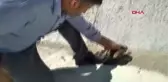 Son dakika haberi... YOLDA GİDERKEN, YARALI ŞAHİN BULDU