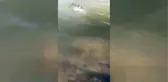 Amatör avcılar, 40 kiloluk yayın balığı yakaladı
