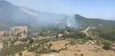 İzmir'de çıkan orman yangını kontrol altına alındı