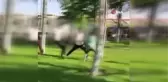 Parkta oturan gençleri gülerek dövüp video çektiler