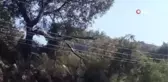 Muğla ... Marmaris'teki orman yangının çıkış nedeni belli oldu