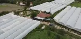 Sakarya Nehri'nden sulanan domates ve salatalıklar, üreticinin yüzünü güldürdü
