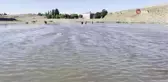 Sıcaktan bunalan vatandaşlar nehre girerek hem serinledi hem de balık tuttu