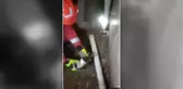 Yağmur suyu borusunda mahsur kalan yavru kedi kurtarıldı