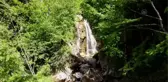 Kastamonu haber | KASTAMONU - Yeşilin tonları arasındaki şelale: Kızılcasu