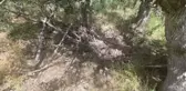 Son dakika haber | Şırnak ve Siirt'te, 