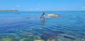ÇEVRECİ DALGICI AĞLATAN MANZARA