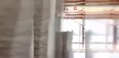 Ağabeyini vurdu kayıplara karıştı