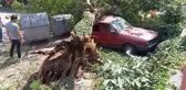 Çürüyen dut ağacı, park halindeki aracın üzerine devrildi