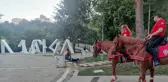 Atlı birliklerin de katıldığı eş zamanlı asayiş denetimi yapıldı