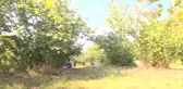 Ordu haberleri... Ordulu Üretici Fındık Fiyatına Tepkili: 