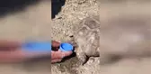Sıcaktan bunalan kaplumbağaya şişe kapağıyla su içirdiler