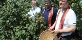 HASAT ŞENLİĞİNDE VALİ VE BELEDİYE BAŞKANI, BELİNE SEPET BAĞLAYIP FINDIK TOPLADI