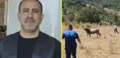 Kurban Bayramı'nda kaçan boğa 25 gün sonra bulundu! Kesileceğini öğrenen Haluk Levent harekete geçti