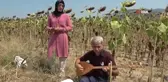 Adana ekonomi haberleri... Adana'da sazlı türkülü ayçiçek hasadı
