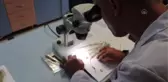 Vefat eden eşinin adı, keşfettiği yeni bitki türünde yaşayacak