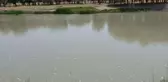 Aras Nehri'ne düşen çocuğunu kurtarmaya çalışan anne akıntıya kapılarak boğuldu
